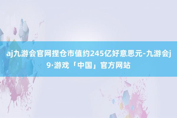 aj九游会官网捏仓市值约245亿好意思元-九游会j9·游戏「中国」官方网站