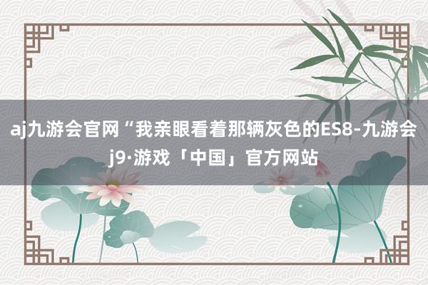 aj九游会官网“我亲眼看着那辆灰色的ES8-九游会j9·游戏「中国」官方网站