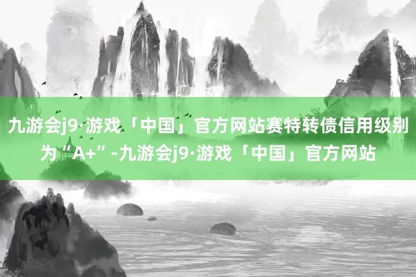 九游会j9·游戏「中国」官方网站赛特转债信用级别为“A+”-九游会j9·游戏「中国」官方网站