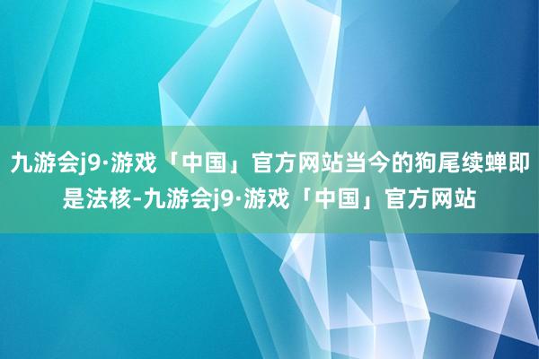 九游会j9·游戏「中国」官方网站当今的狗尾续蝉即是法核-九游会j9·游戏「中国」官方网站