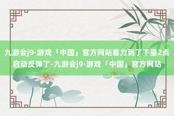 九游会j9·游戏「中国」官方网站着力到了下昼2点启动反弹了-九游会j9·游戏「中国」官方网站