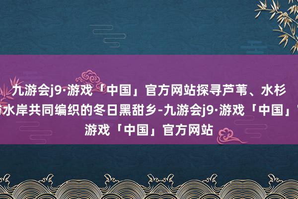 九游会j9·游戏「中国」官方网站探寻芦苇、水杉、夕阳与水岸共同编织的冬日黑甜乡-九游会j9·游戏「中国」官方网站