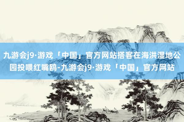 九游会j9·游戏「中国」官方网站搭客在海洪湿地公园投喂红嘴鸥-九游会j9·游戏「中国」官方网站