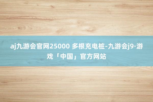 aj九游会官网25000 多根充电桩-九游会j9·游戏「中国」官方网站