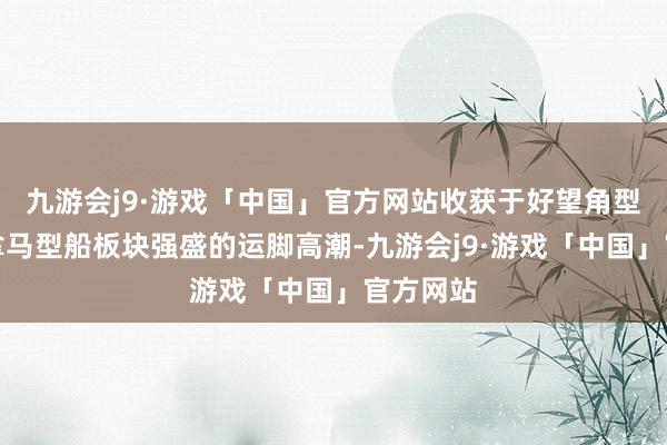 九游会j9·游戏「中国」官方网站收获于好望角型船和巴拿马型船板块强盛的运脚高潮-九游会j9·游戏「中国」官方网站